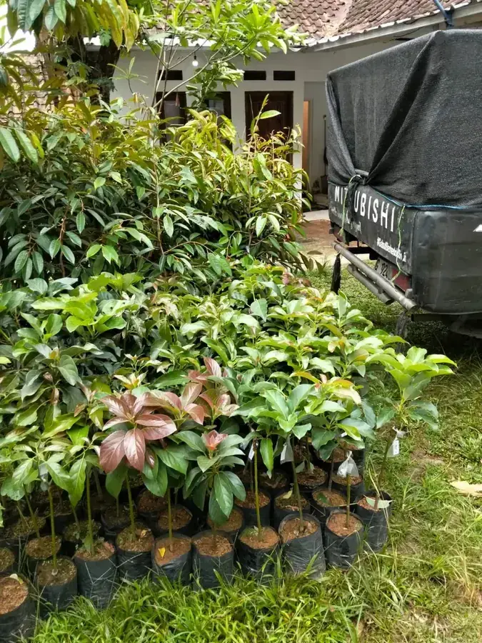 Terkirim ke Kuningan