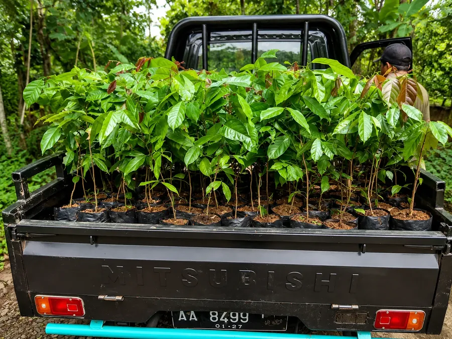 Proses Pengiriman Bibit