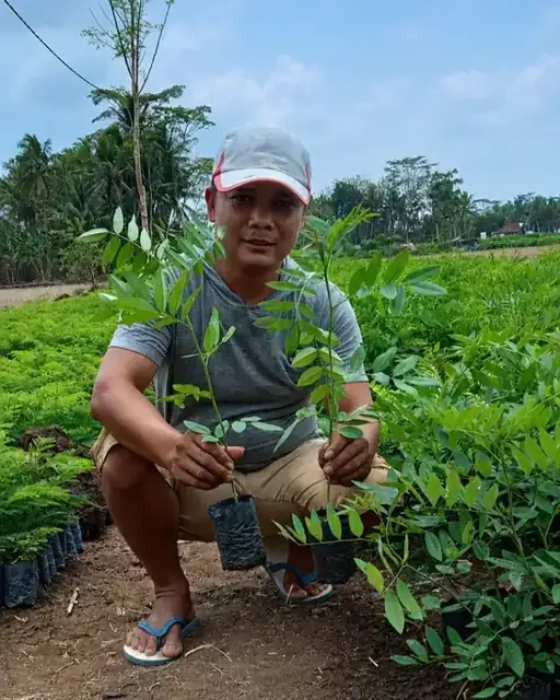 Tim Ardelia Bibit siap membantu Anda memilih bibit