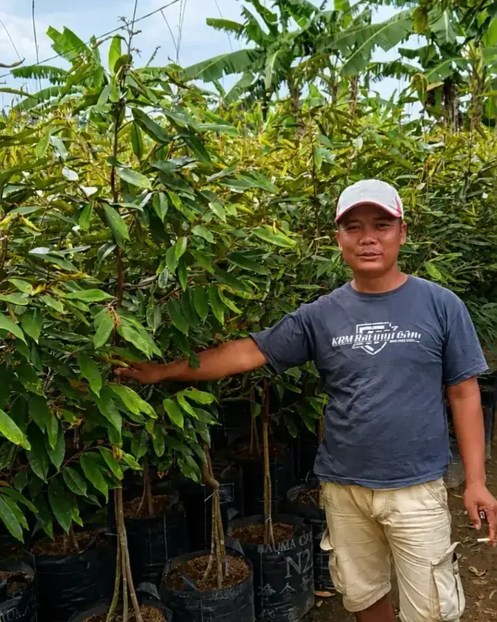 Pak Yarohim, pemilik Ardelia Bibit, di kebun bibit
